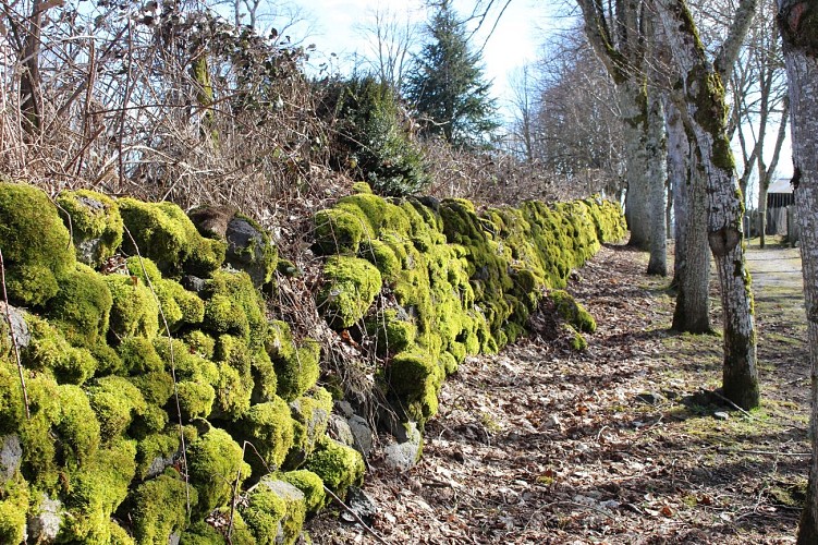 Le sentier des bois de Verneugheol