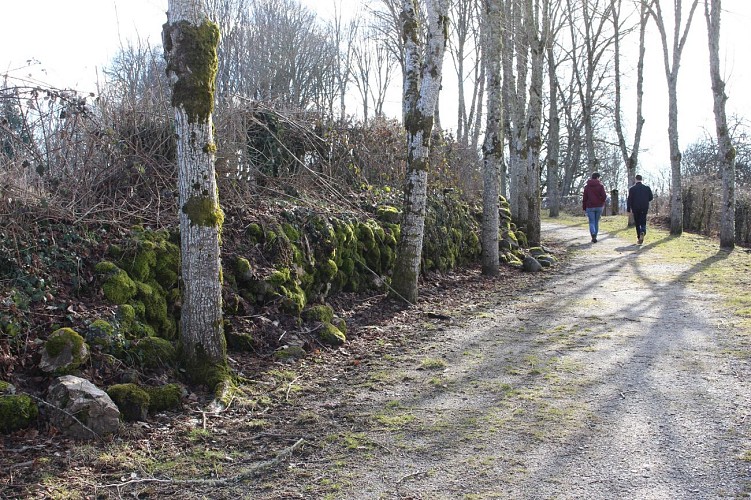 Le sentier des bois de Verneugheol