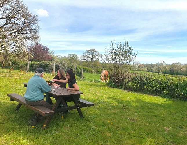 Promenade en calèche et location de roulotte avec cheval pour les vacances