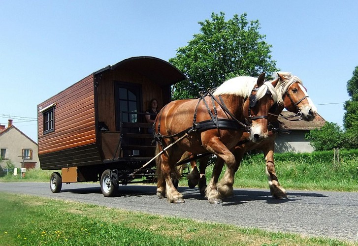 Promenade en calèche et location de roulotte avec cheval pour les vacances