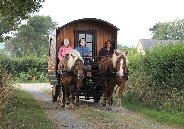 Promenade en calèche et location de roulotte avec cheval pour les vacances