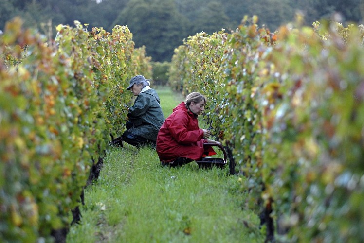 2011-09-19_08.30.28_7308_Guillaume de CROP - foutographe@laposte.net