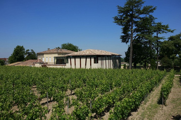 Château Villemaurine vue extérieure cuvier_16