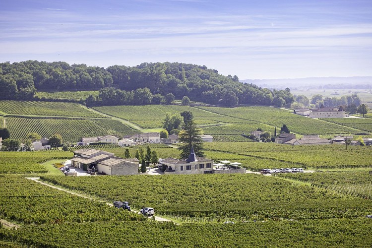 Ghesquiere_20230927_11-47-08_MT_Decoster_Saint_Emilion