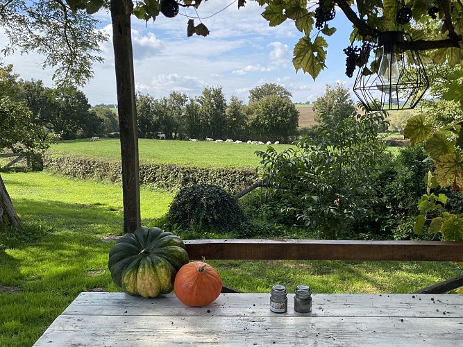 Terrasse et jardin avec belle vue