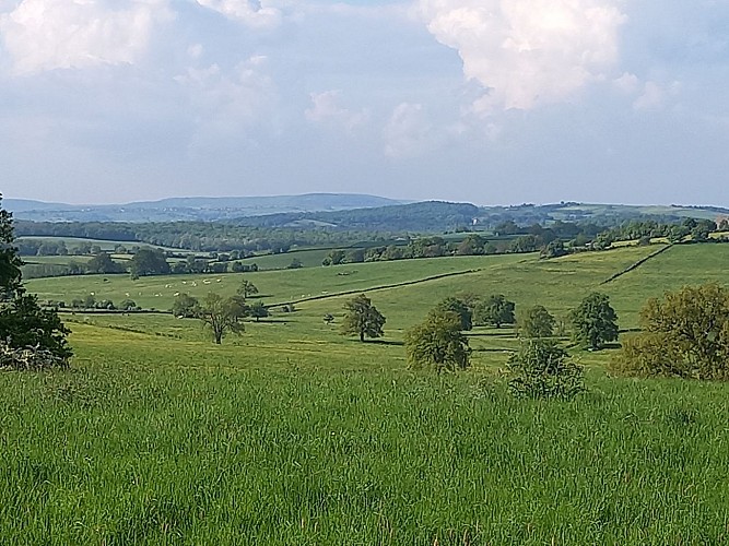 Point de vue