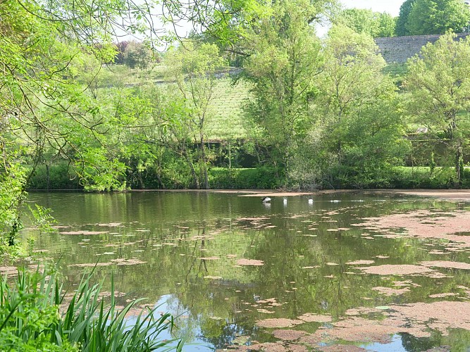 Étang de pêche Saint-Nicolas