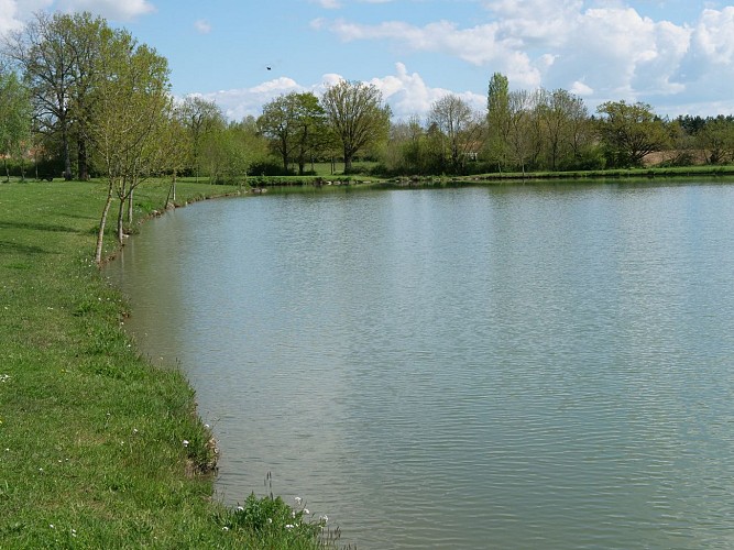 Étang de pêche de la Salle de Vihiers