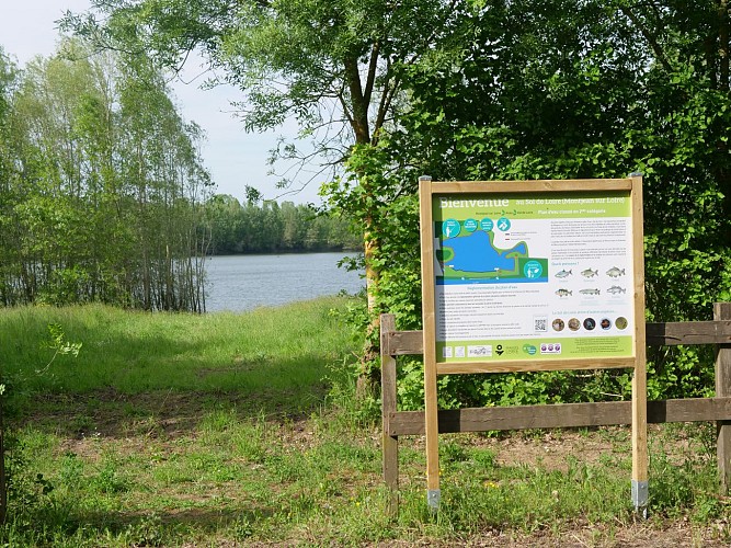 Étang de pêche de Sol de Loire