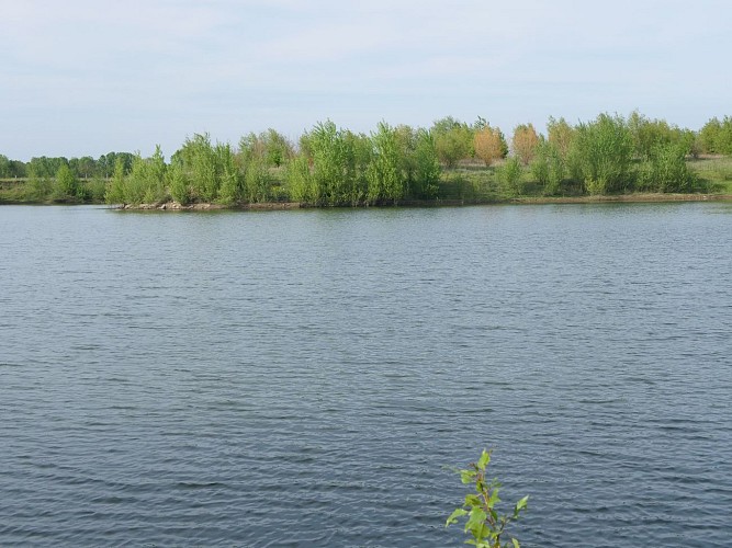 Étang de pêche de Sol de Loire