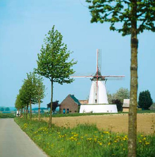 The mill of Ostiches