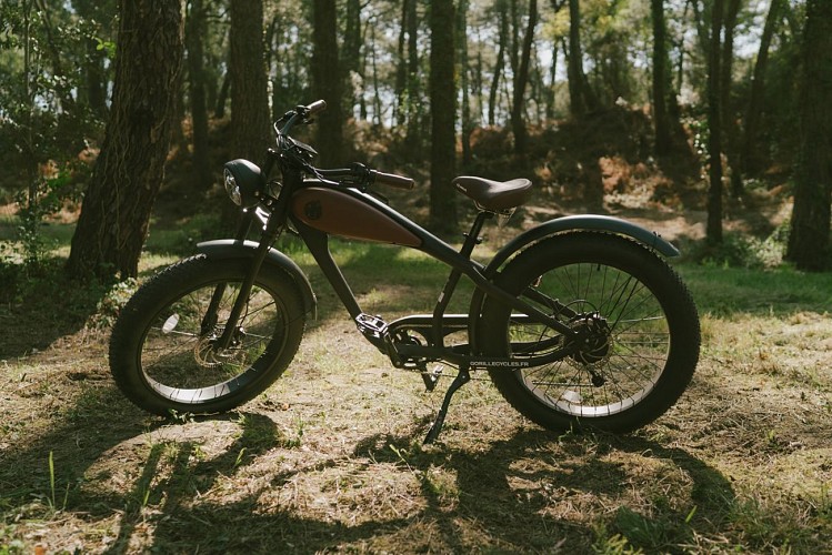 Bicicletta la maison du cycle