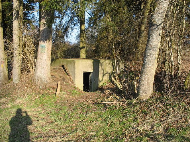 Bunker von Petit-Halleux  