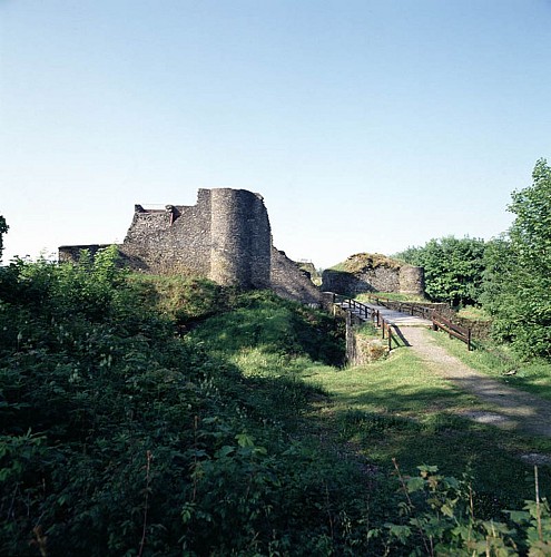 The ruins of the castle