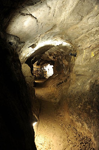 The Scladina cave 