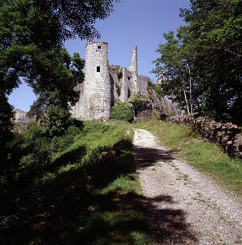 Le château de Montaigle 