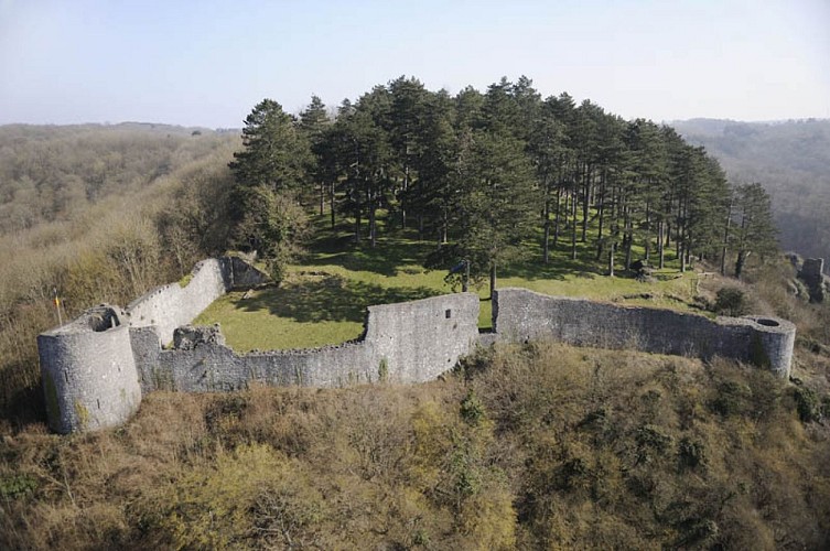 Les ruines du château de Poilvache 