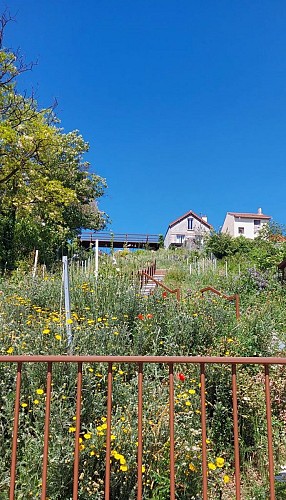 La Montée aux Vignes