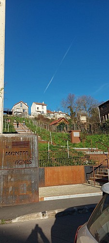 La Montée aux Vignes