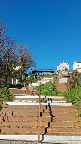 La Montée aux Vignes
