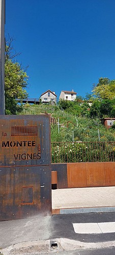 La Montée aux Vignes