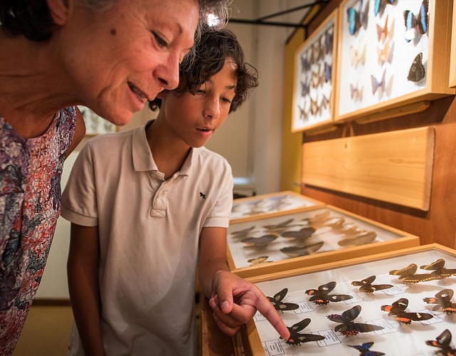 Muséum des Papillons et des Insectes