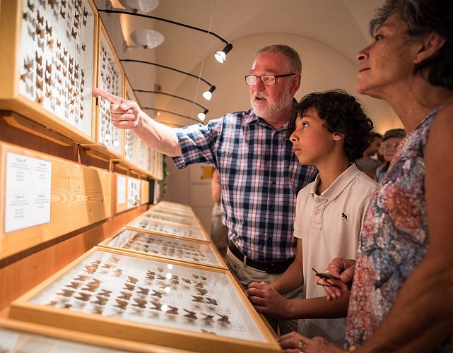 Muséum des Papillons et des Insectes