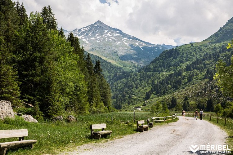 Natural reserve of Tueda