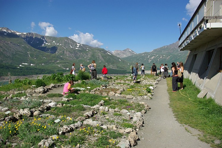 Mont-Cenis alpine garden