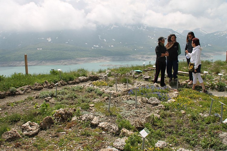 Le Jardin Alpin du Mont-Cenis