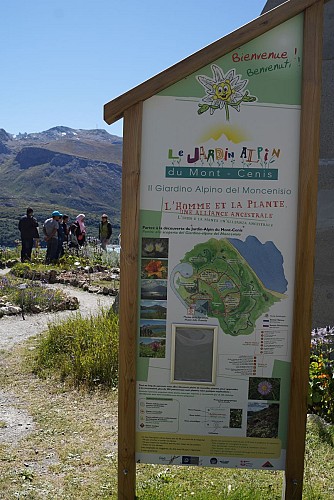De alpentuin van Le Mont-Cenis