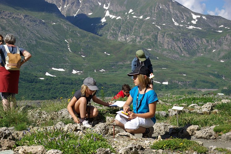 De alpentuin van Le Mont-Cenis