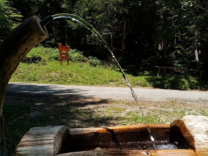 Arboretum von Tessens