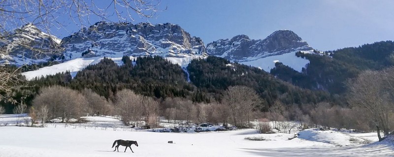 La Chavane du Plan