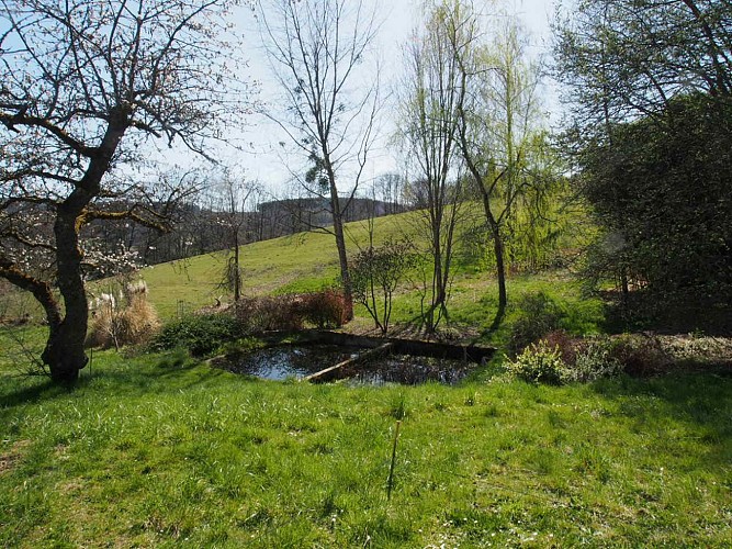 Vue sur le point d'eau depuis la terrasse