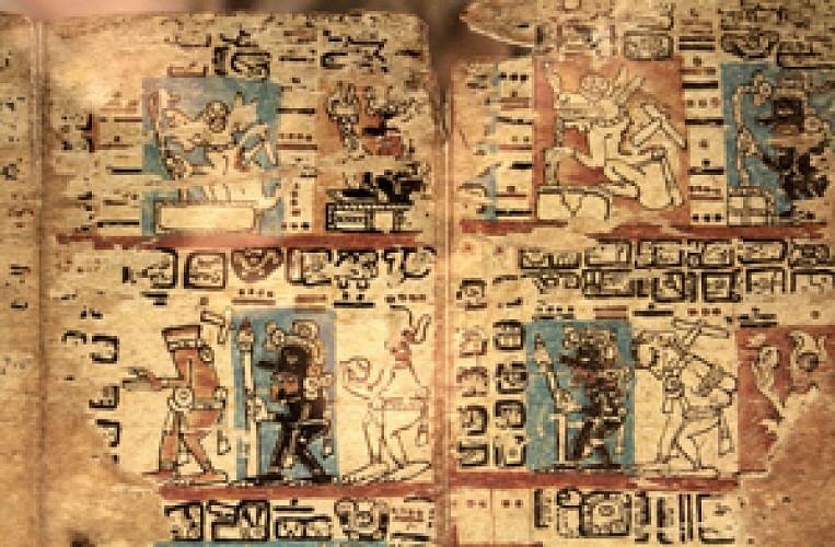 Mayan Codex
