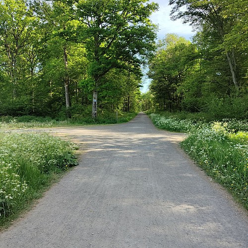 Tourner à gauche à l'intersection