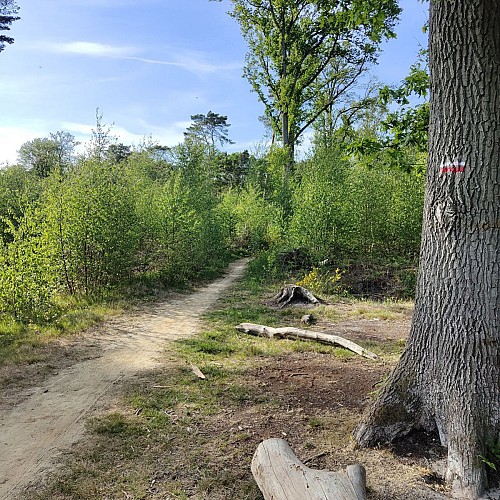 Prendre le chemin à gauche