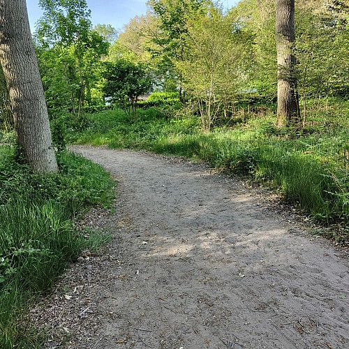 Prendre le chemin à gauche (sable)