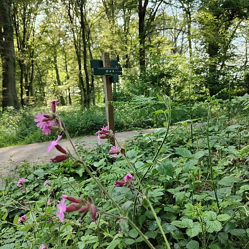 Revenir par la voie verte en tournant à droite