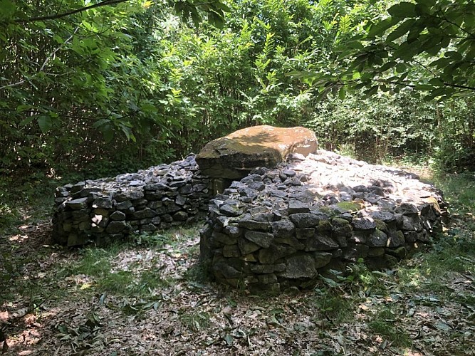 Dolmen du Bois Neuf_3
