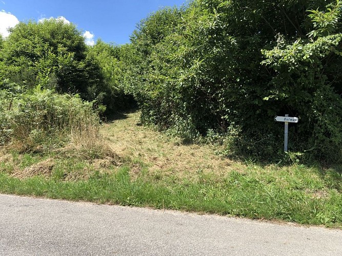 Dolmen du Bois Neuf_1