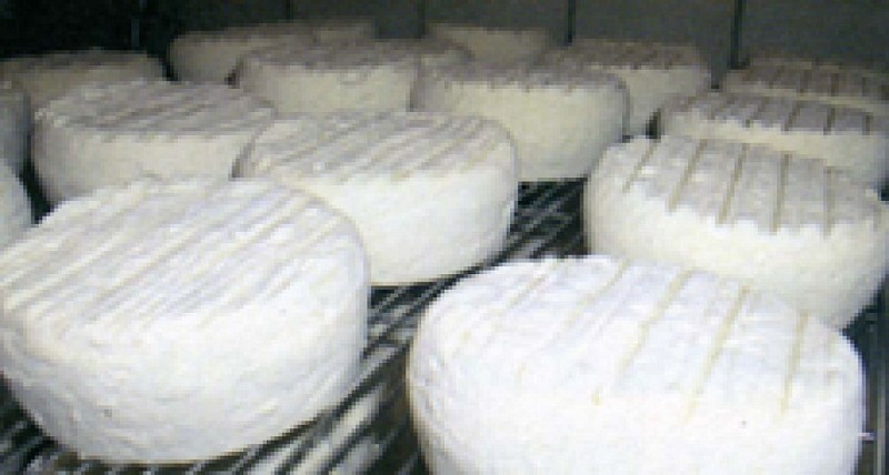 Fromagerie de Neuftables