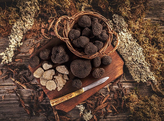 FRANCE TRUFFES