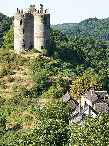 Château de Roumégous