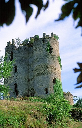 Château de Roumégous