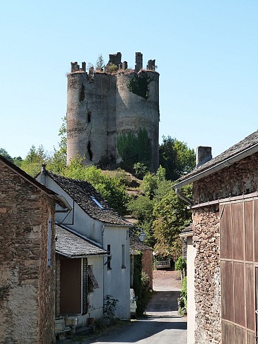 Château de Roumégous