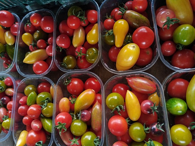 diverses tomates