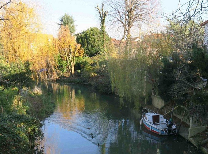 Le quartier Polangis et le bras de Marne