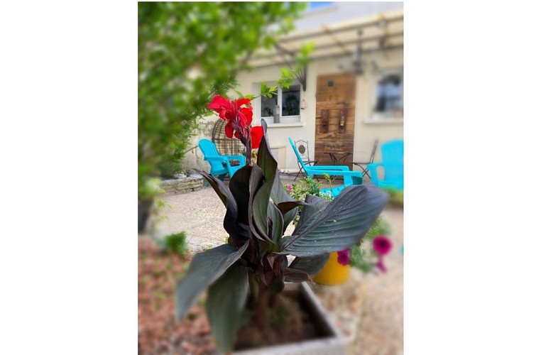 serendipity_fleurjardin